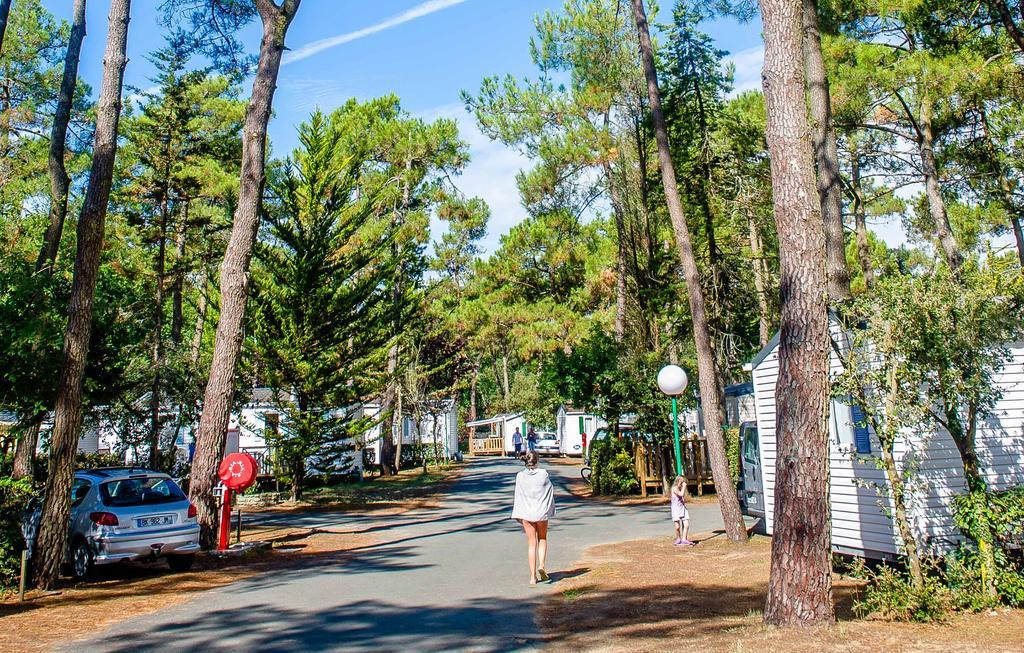 Domaine Residentiel De Plein Air Odalys Les Dunes Longeville-sur-Mer Exterior foto